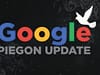 Google Pigeon Update | Google Algorithm