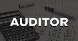 What is an Auditor | Auditor Types