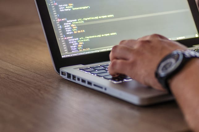 Software Consulting